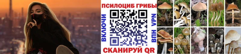наркошоп  Аргун  Псилоцибиновые грибы мицелий 