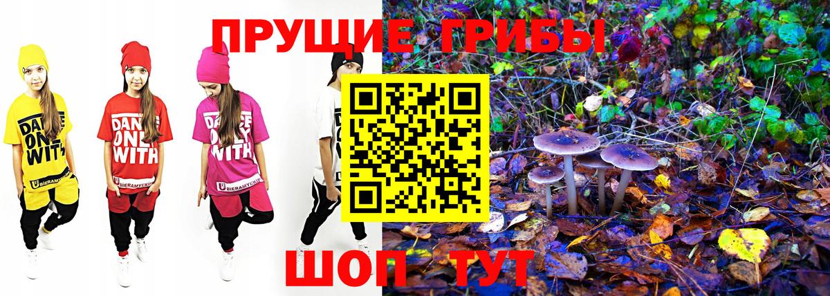 Псилоцибиновые грибы Psilocybe  Псилоцибиновые грибы Magic Shrooms  Аргун 