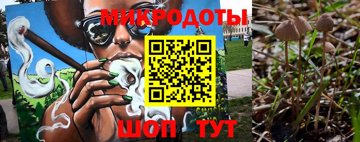 Галлюциногенные грибы прущие грибы  Псилоцибиновые грибы Psilocybine cubensis  Вход с VPN  Аргун 