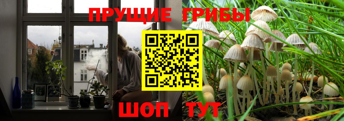 Псилоцибиновые грибы MAGIC MUSHROOMS Аргун